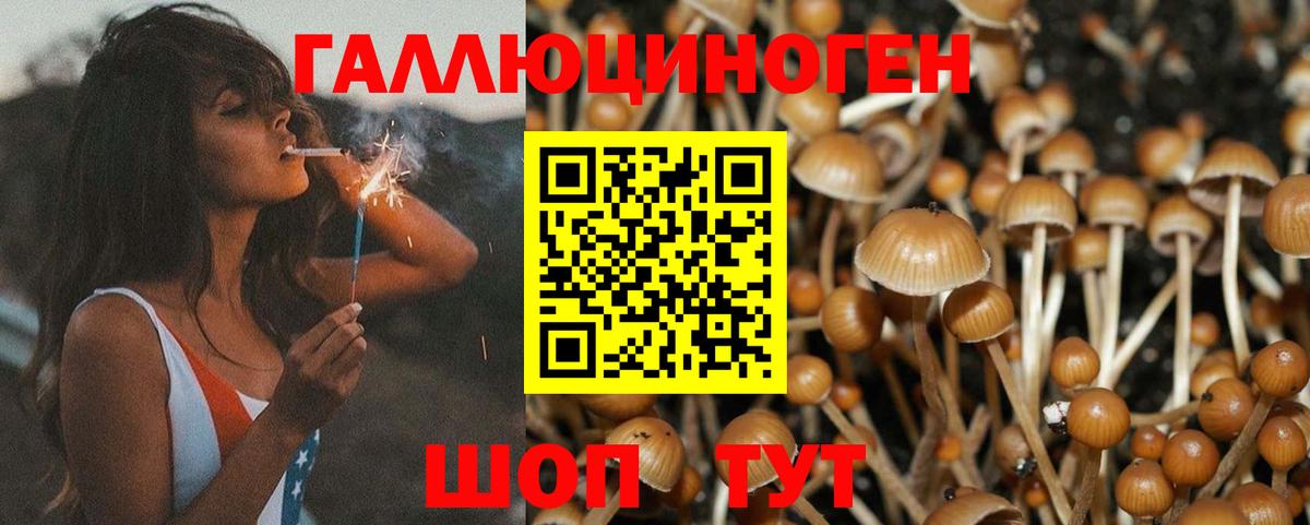 Галлюциногенные грибы Magic Shrooms Татарск